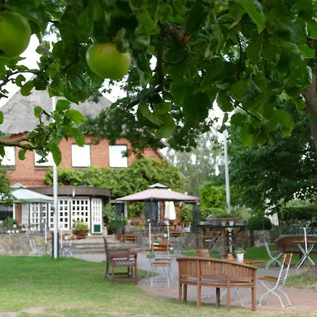 Landgasthof Kasch - Und Restaurant