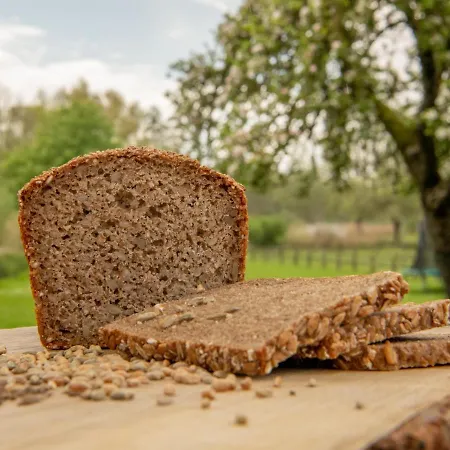 Inn Landgasthof Kasch - Und Restaurant *